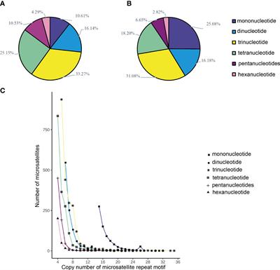 Microsatellite markers for Monitipora digitata designed using restriction-site associated DNA sequencing